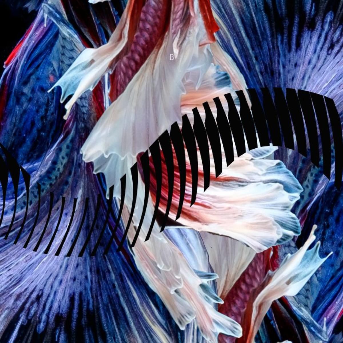 Eliogold - Still Love | Rhizome (RHZ007) - main