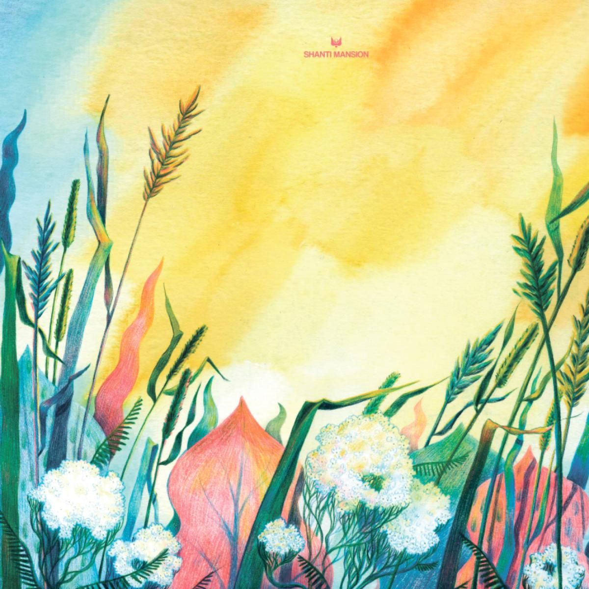 Planet Funk  &  G.Pal - Shanti Remixes | Shanti Mansion (SMR40) - main