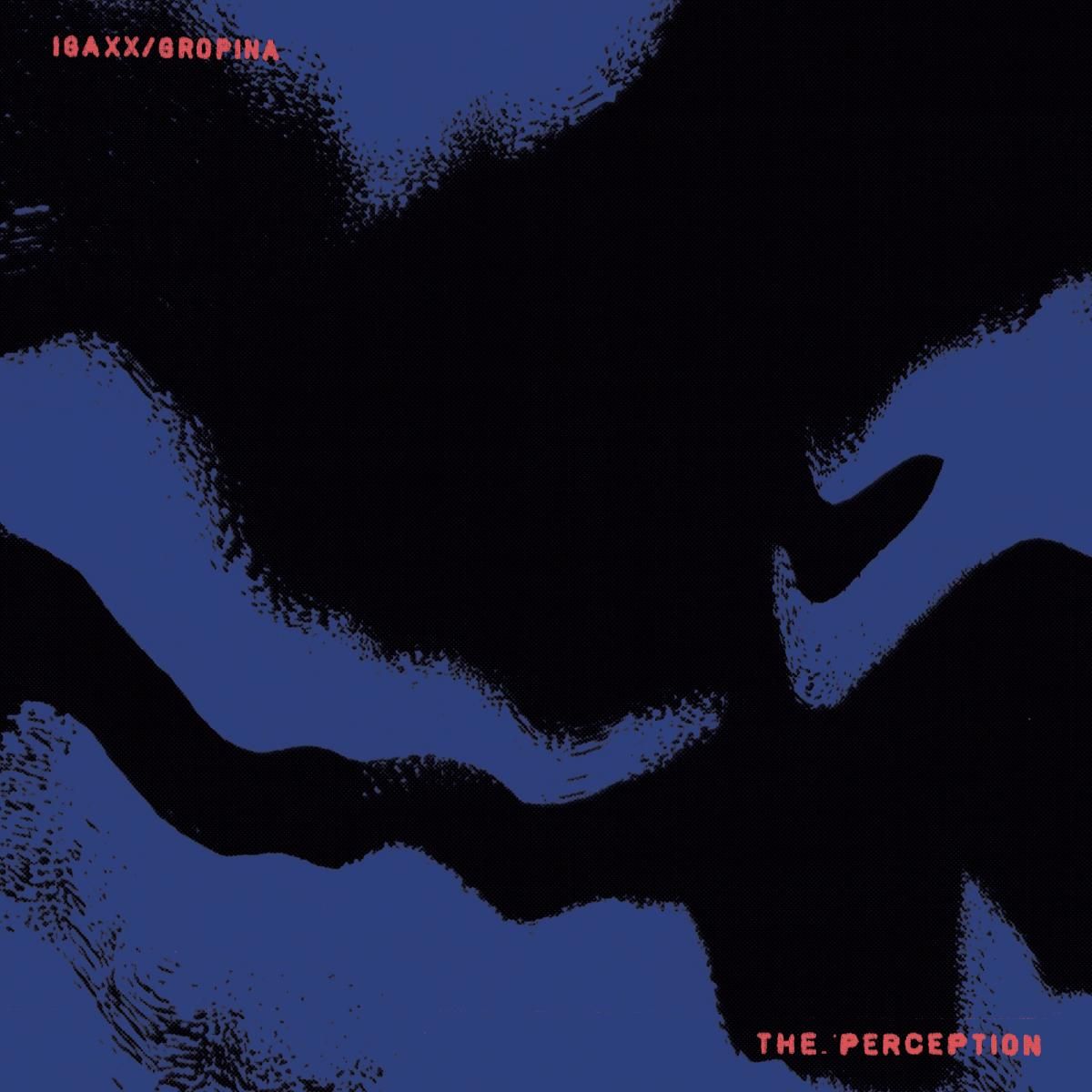 Igaxx  &  Gropina - The Perception | PAESAGGI RECORDS (PSGG006) - main