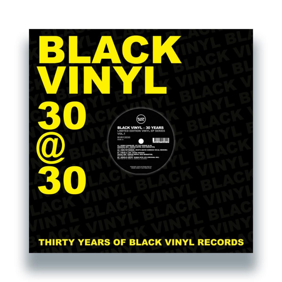 Various - Black Vinyl 30 Years | Black Vinyl (BVR12030) - main Various - Black Vinyl 30 Years | Black Vinyl (BVR12030) - main