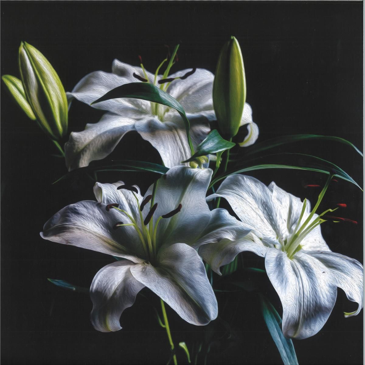 Various - Random Chapters | Platz für Tanz (PFT2025V02) - main