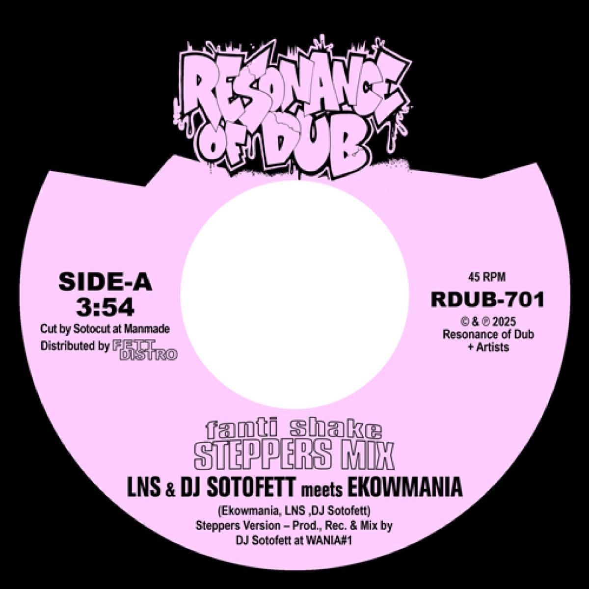 LNS & Dj Sotofett & Ekowmania - Fanti Shake (Steppers Mix) / Step-Eight | Resonance of Dub (RDUB-701) - main LNS & Dj Sotofett & Ekowmania - Fanti Shake (Steppers Mix) / Step-Eight | Resonance of Dub (RDUB-701) - main