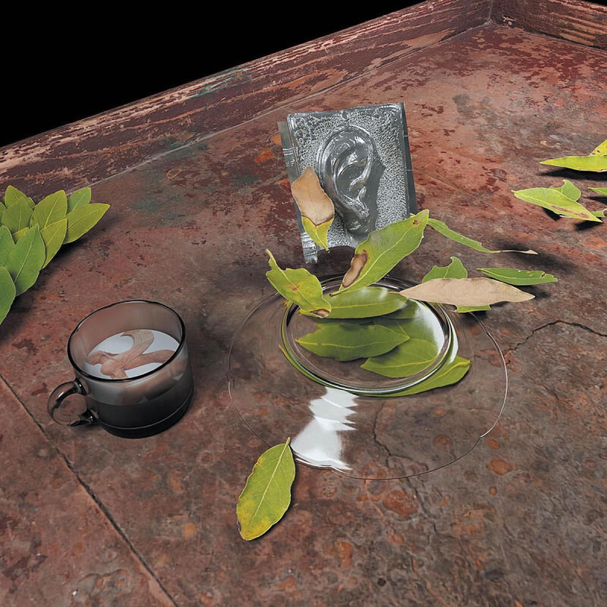 Christina Vantzou - The Reintegration of the Ear | editions basilic (EBS2010LP) - main Christina Vantzou - The Reintegration of the Ear | editions basilic (EBS2010LP) - main