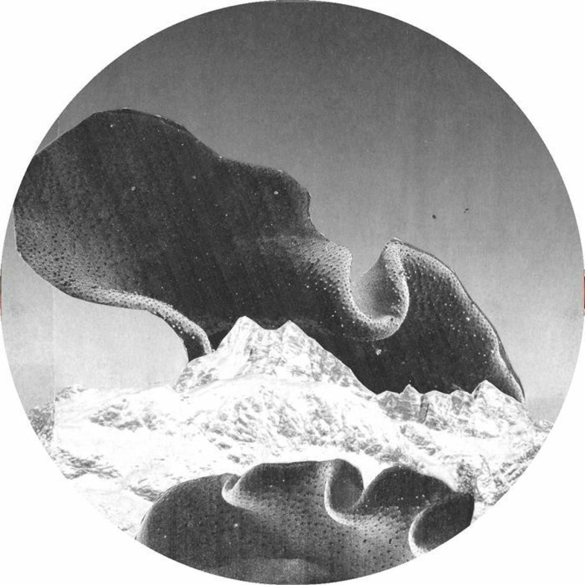 Various - Stepfamily | Bait (BAIT22) - main Various - Stepfamily | Bait (BAIT22) - main