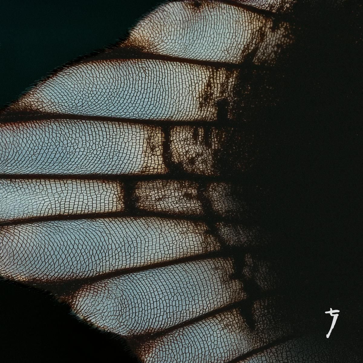 POST COMA - POST COMA | Titrate (TITR004) - main