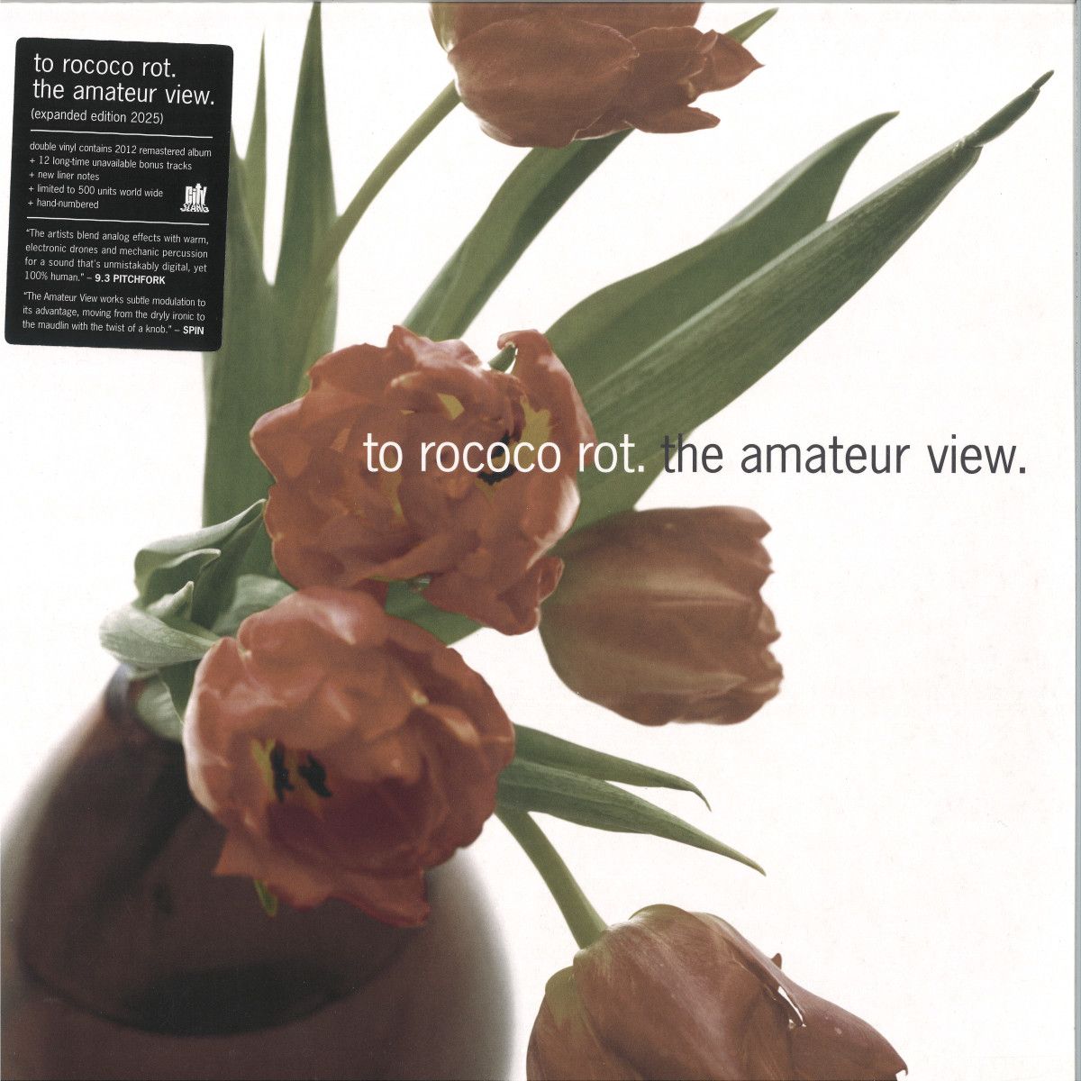 To Rococo Rot - The Amateur View Expanded Ed. 2025) (LP 2x12") | CITY SLANG (SLANG50596LP)
