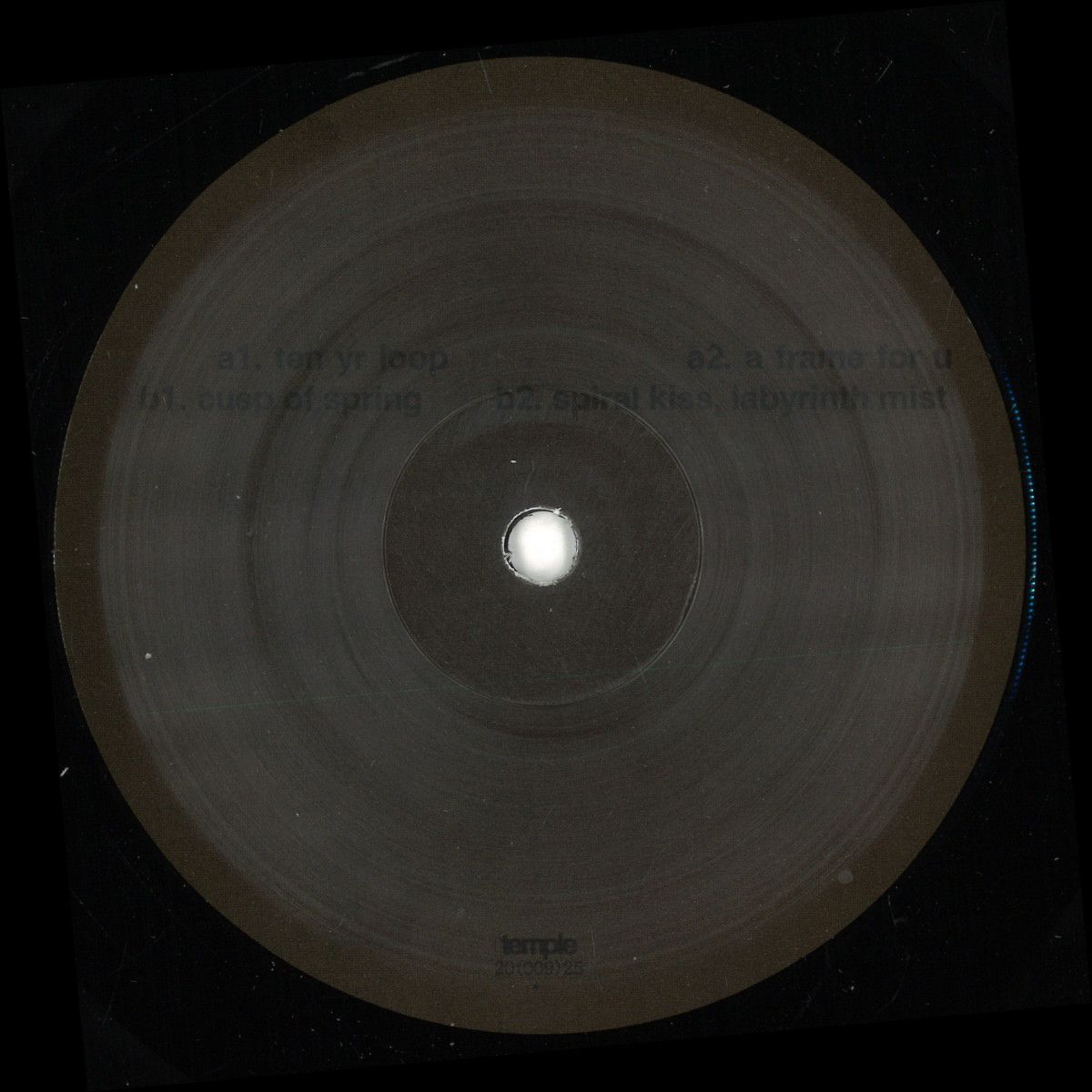 Adam Feingold - Nothing Is A Field | Temple (TMPL009) - main