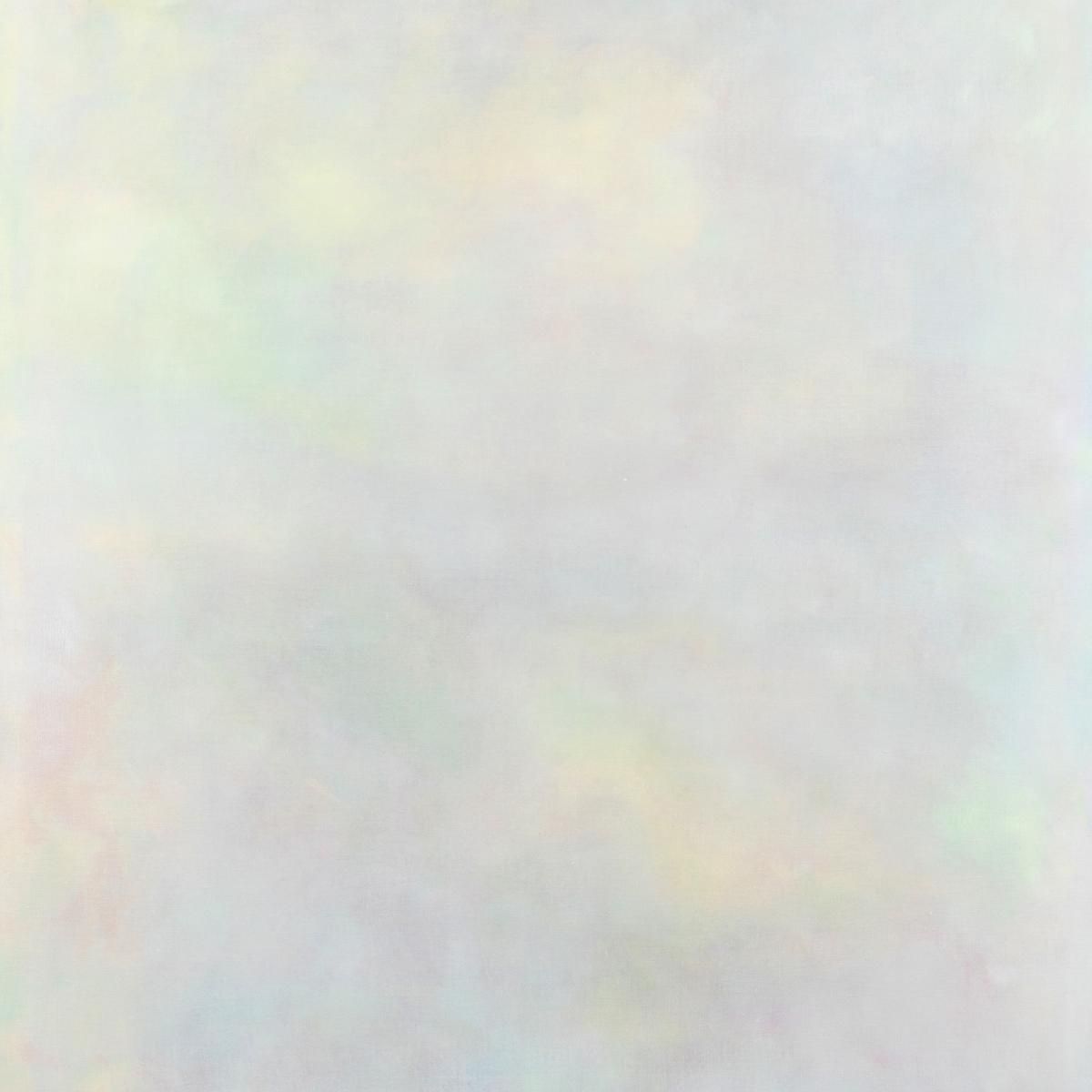 Variant - The Setting Sun 2x12" | Field (FIELD40) - main