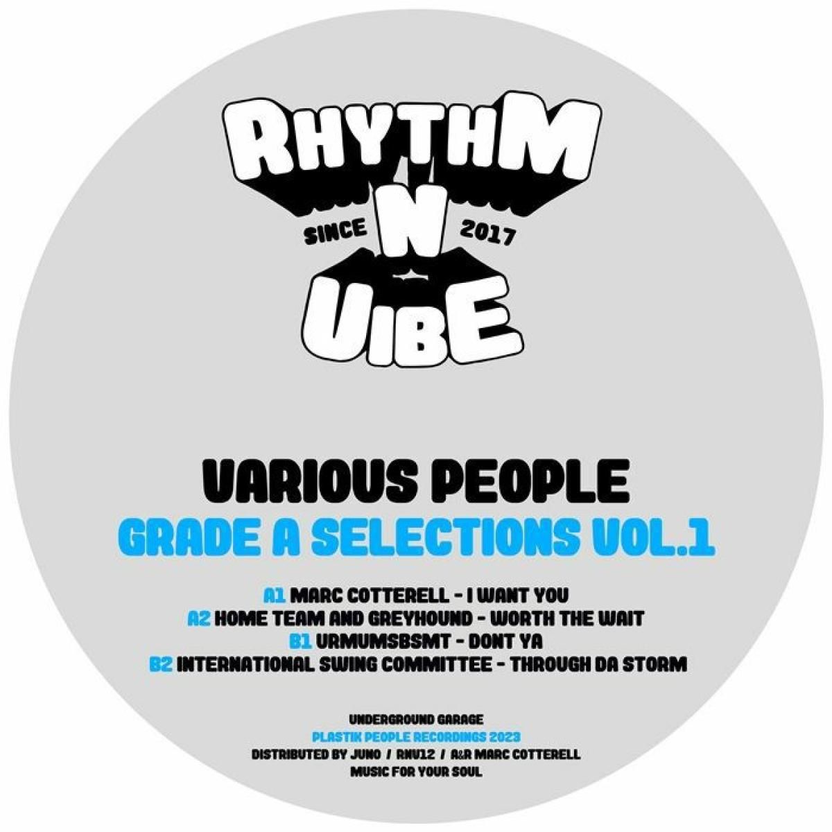 Various - Grade A Selections Vol 1 | Rhythm N Vibe (RNV12) - main