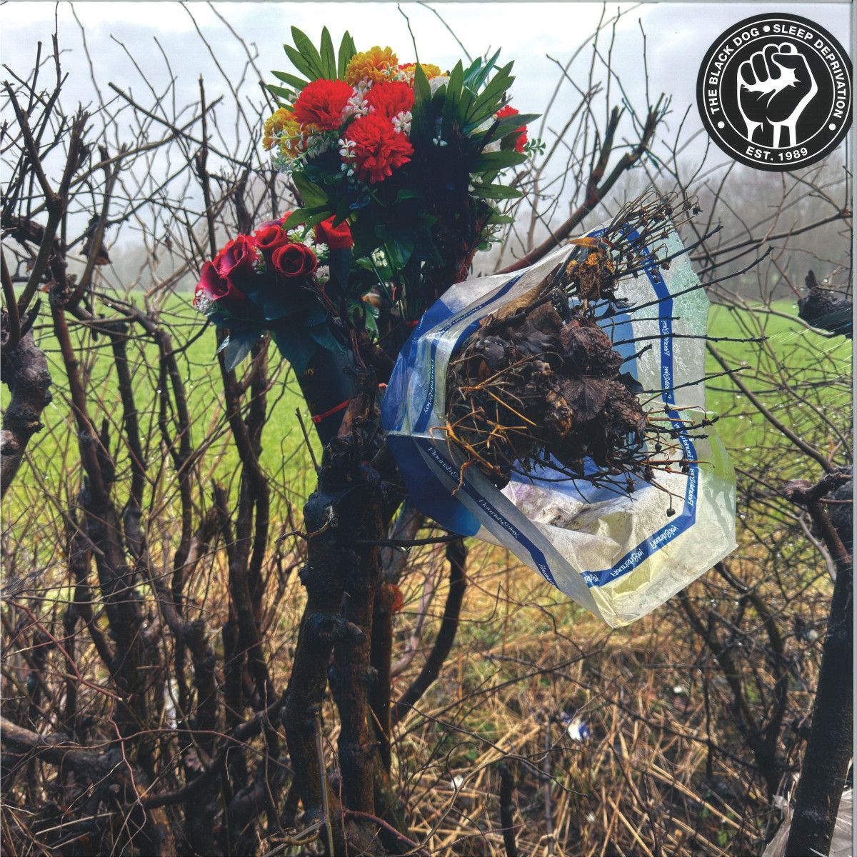 The Black Dog - Sleep Deprivation LP 2x12" | Dust Science (DUSTV126) - main