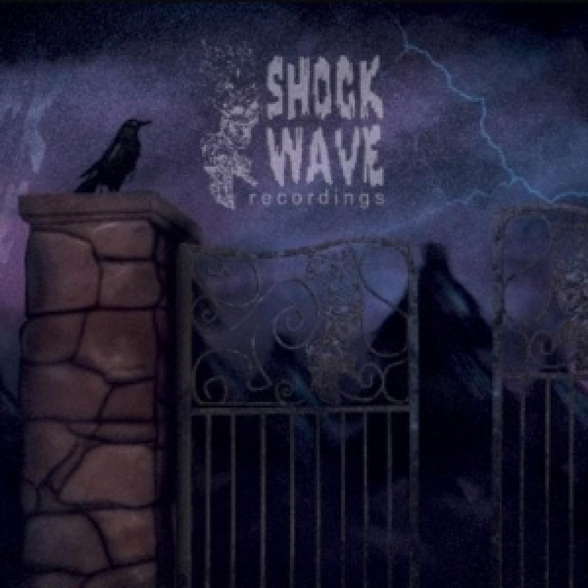 Various - TV-Madness | Shockwave (SH3333) - main