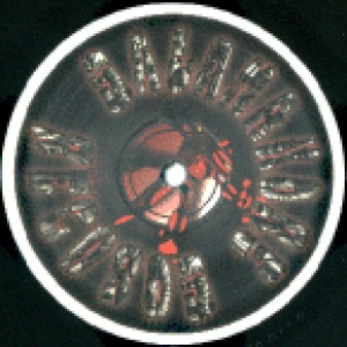 Salamandre - Artchitek-01 | Salamandre (SALAMANDRE01) - main