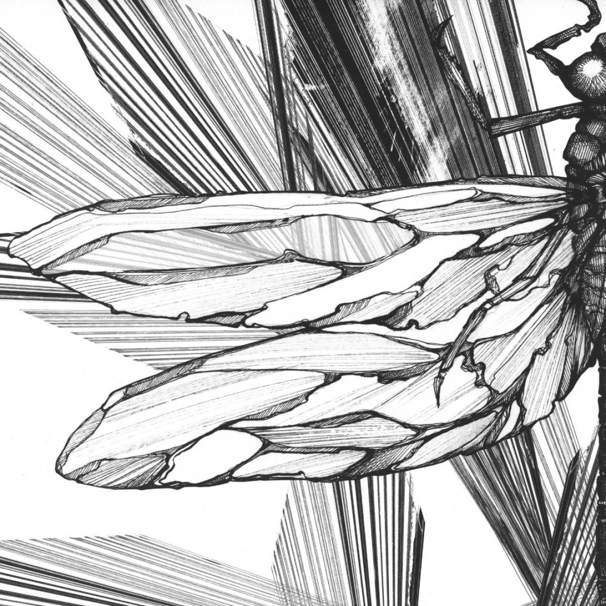 Faster - Transparency EP 2x12″ | Unic (UNIC006) - main