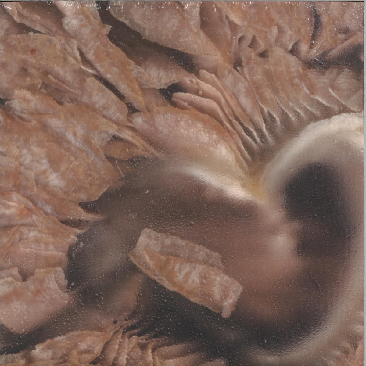 Serti - If U Are Curious 2x12" | Structured Collective (STRCTRDLP02) - main