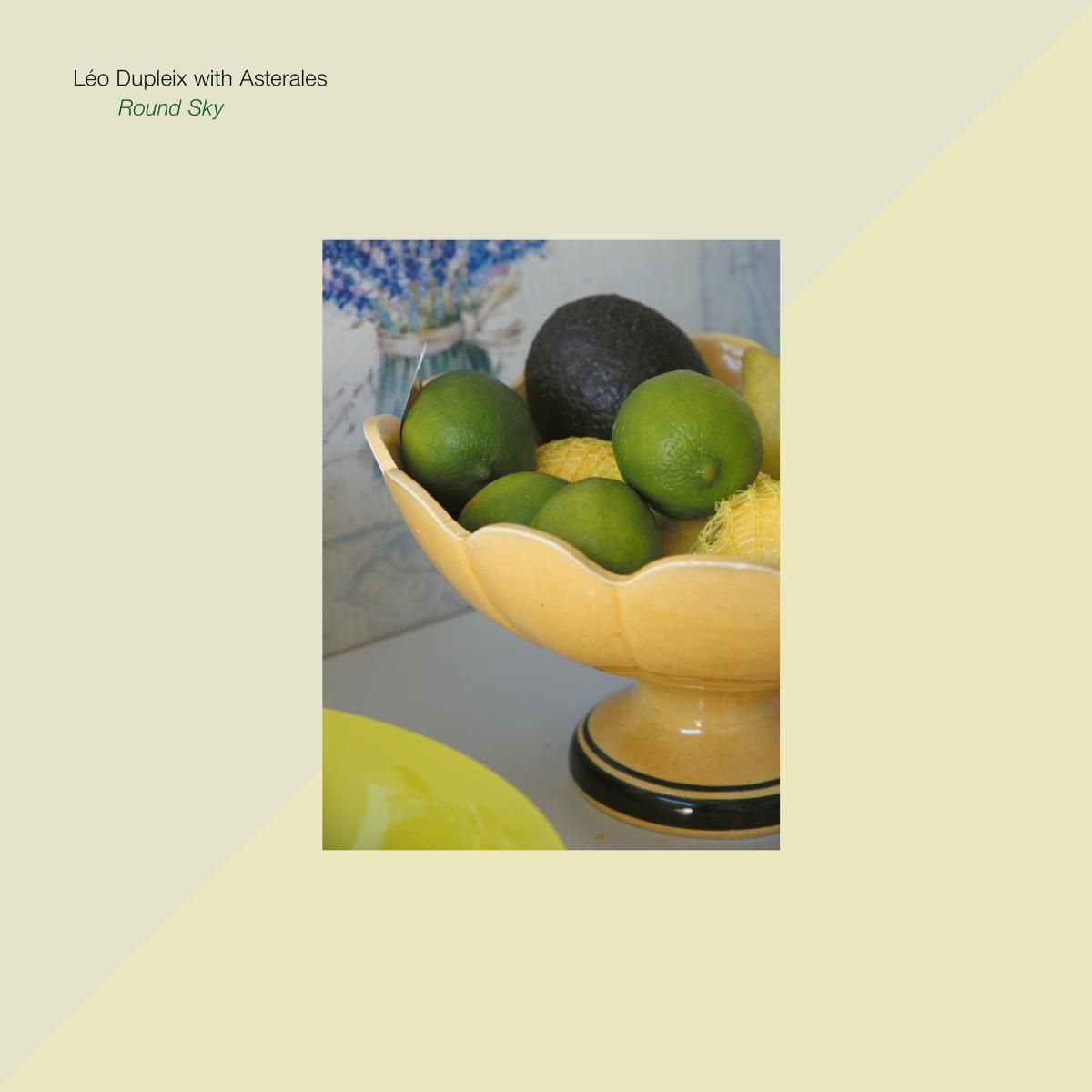 Léo Dupleix with Asterales - Round Sky LP | Black Truffle (BT136) - main