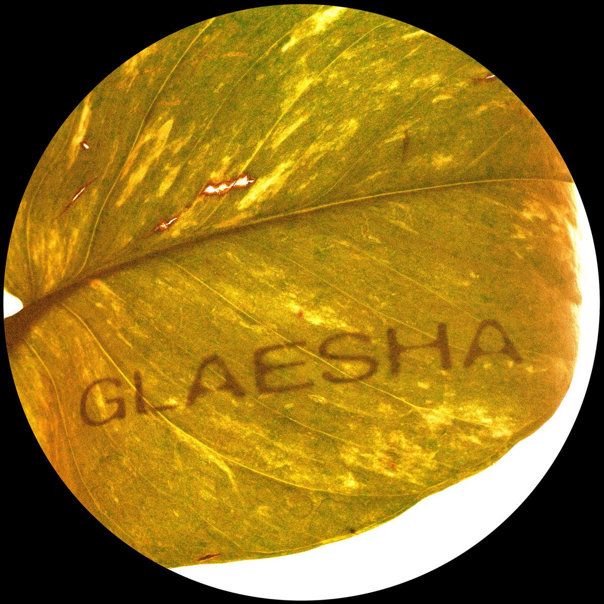 Glaesha - Memory Implant | Breaker Breaker (BRKR011) - main