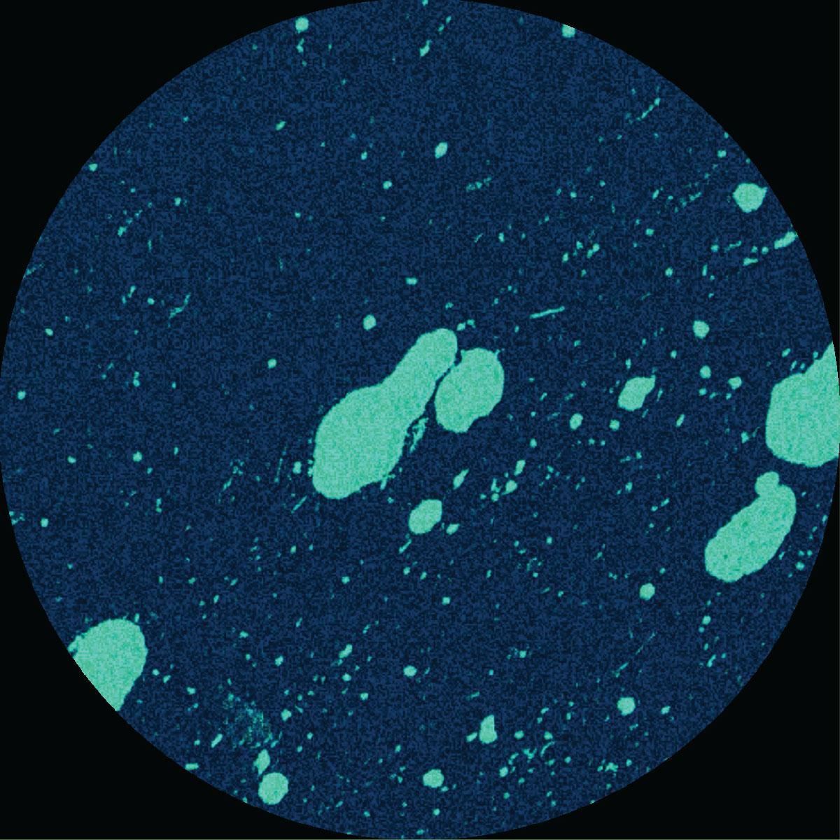 Connor Wall - Equals | Sublunar (SUBL029) - main