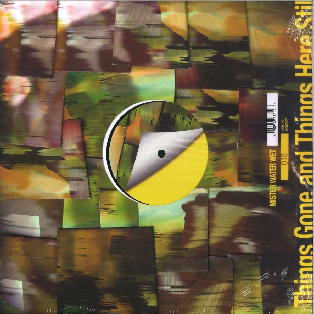 Mister Water Wet - Things Gone and Things Here Still | Soda Gong (SODA018LP) - main Mister Water Wet - Things Gone and Things Here Still | Soda Gong (SODA018LP) - main