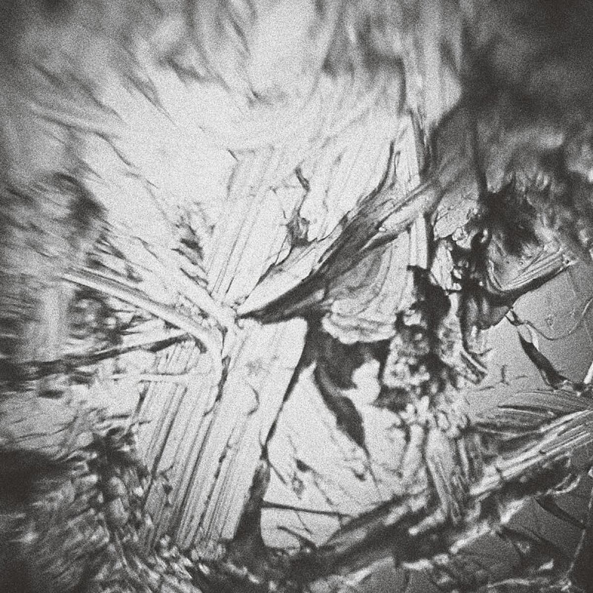 Aki Onda - In the Depth of Illusion: A Soundtrack for Nervous Magic Lantern | Room 40 (RM4207) - main