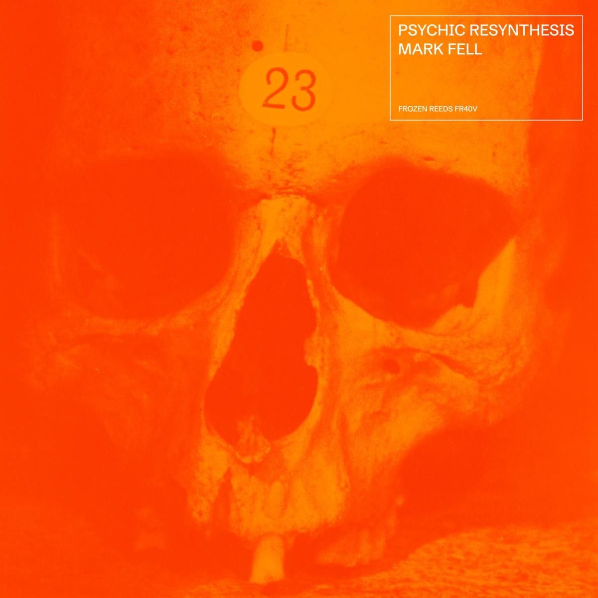 Mark Fell - Psychic Resynthesis LP 2x12" | Frozen Reeds (FR40V) - main