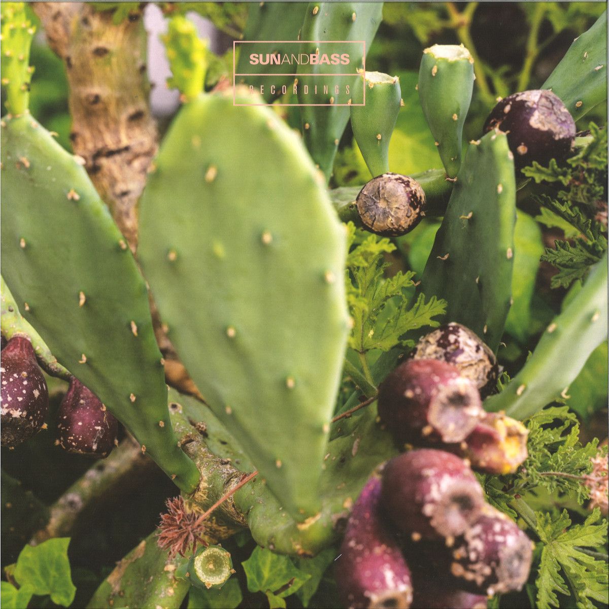 Need For Mirrors - Ultra Violin EP | SUNANDBASS Recordings (SAB013) - main Need For Mirrors - Ultra Violin EP | SUNANDBASS Recordings (SAB013) - main