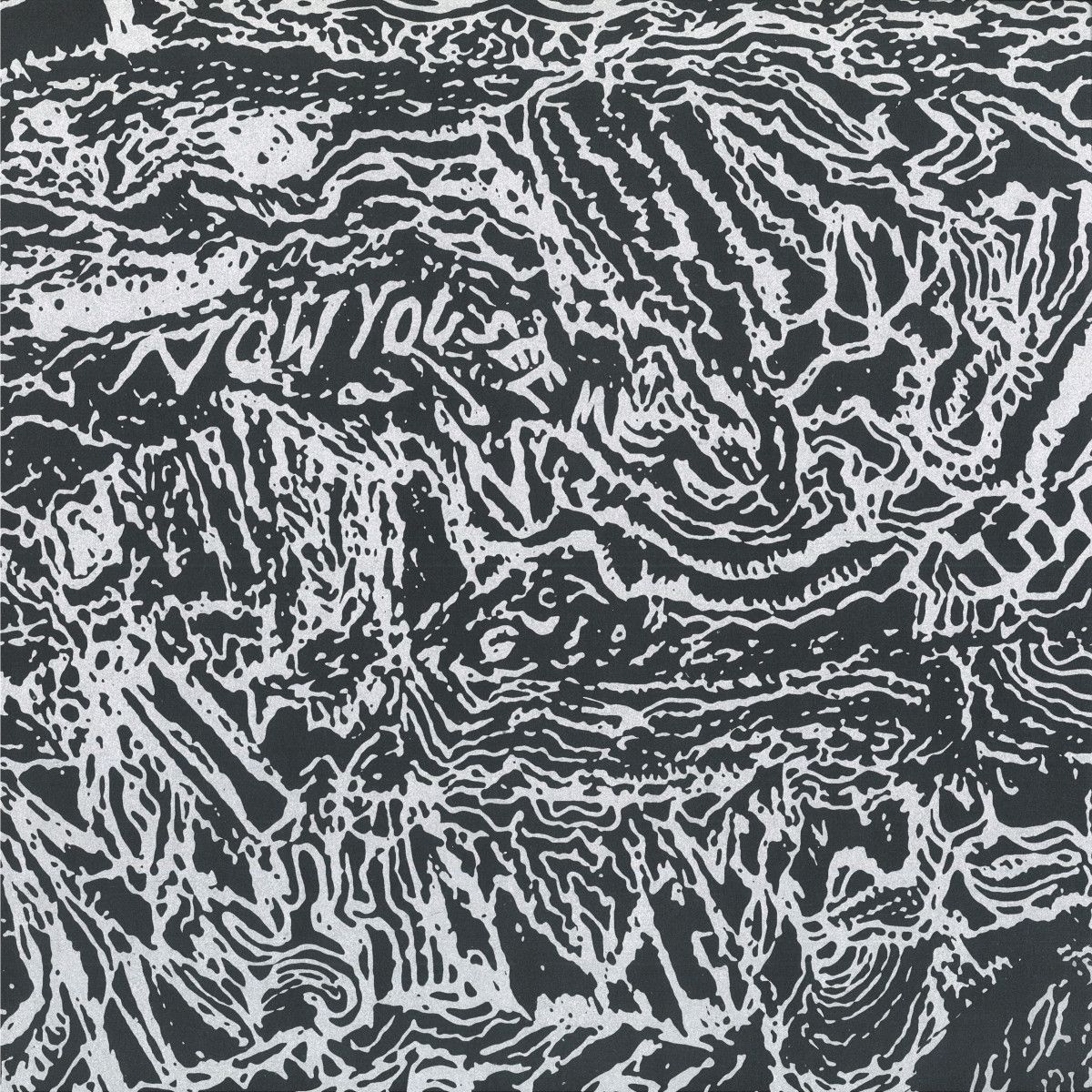 Marina Zispin - Now You See Me, Now You Don't | Scenic Route Records (SR018) Marina Zispin - Now You See Me, Now You Don't | Scenic Route Records (SR018)