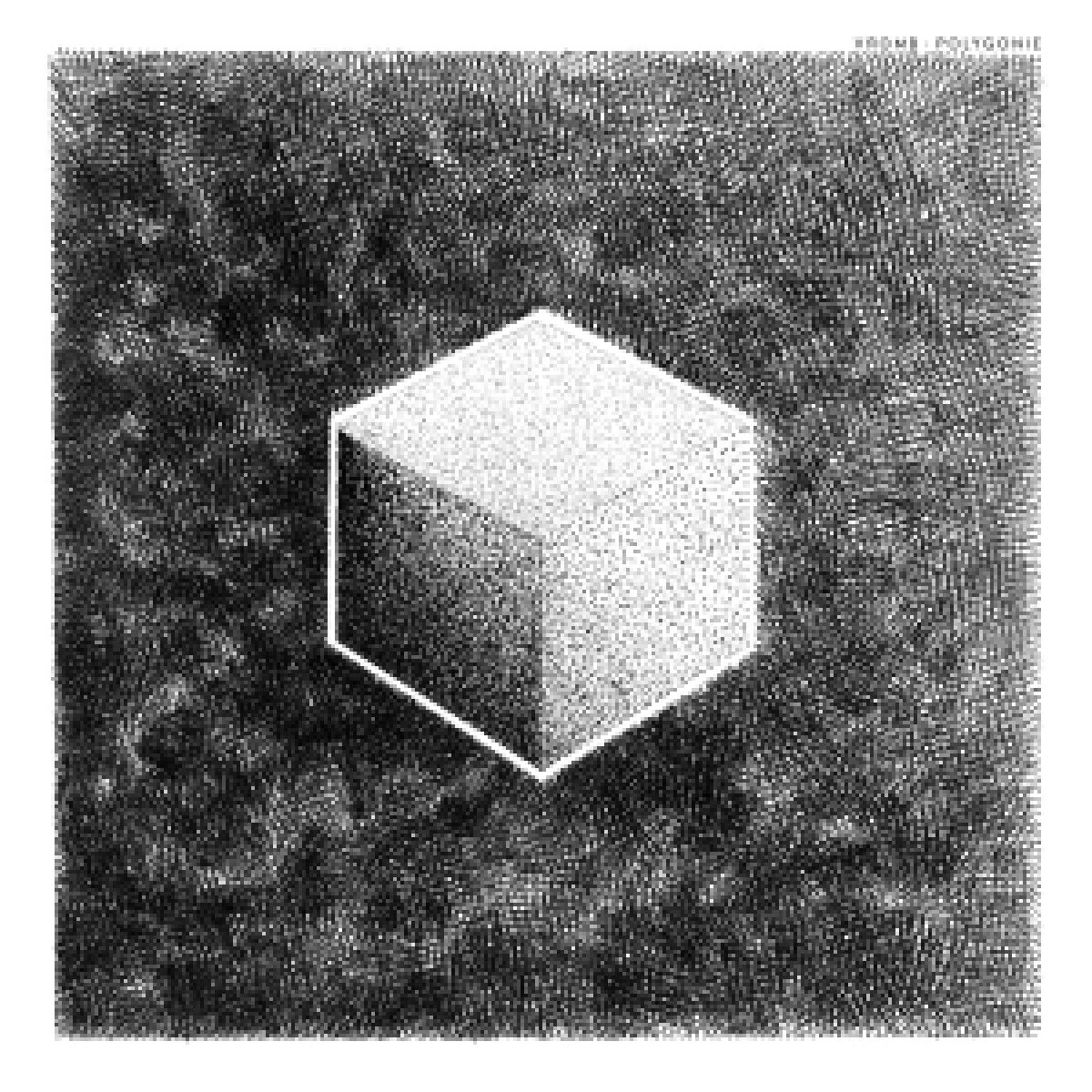 Vromb - Polygonie | Ant Zen (AZACT404)