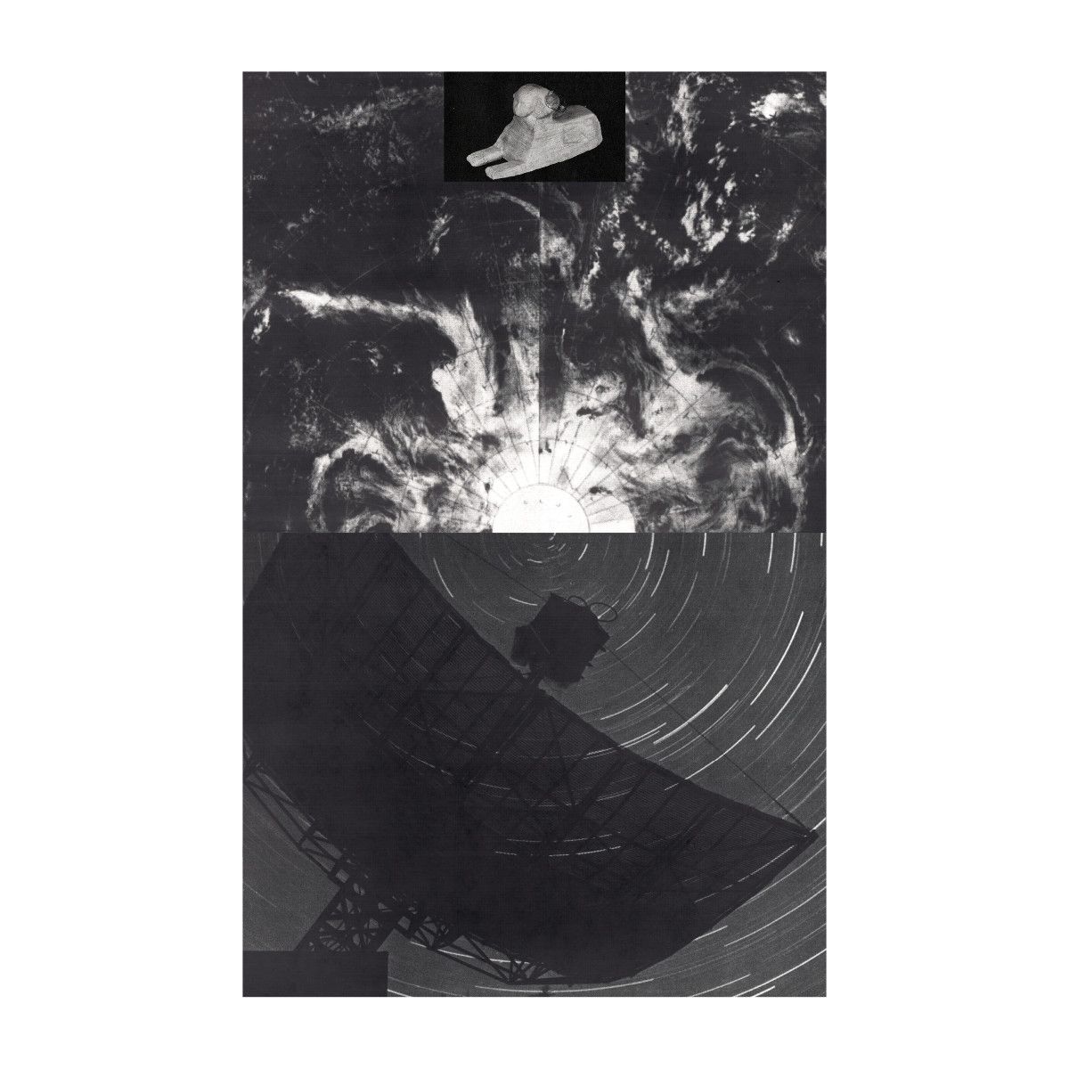 Radio Species - Compressed Knowledge (TAPE) | Soda Gong (SODA017CS)