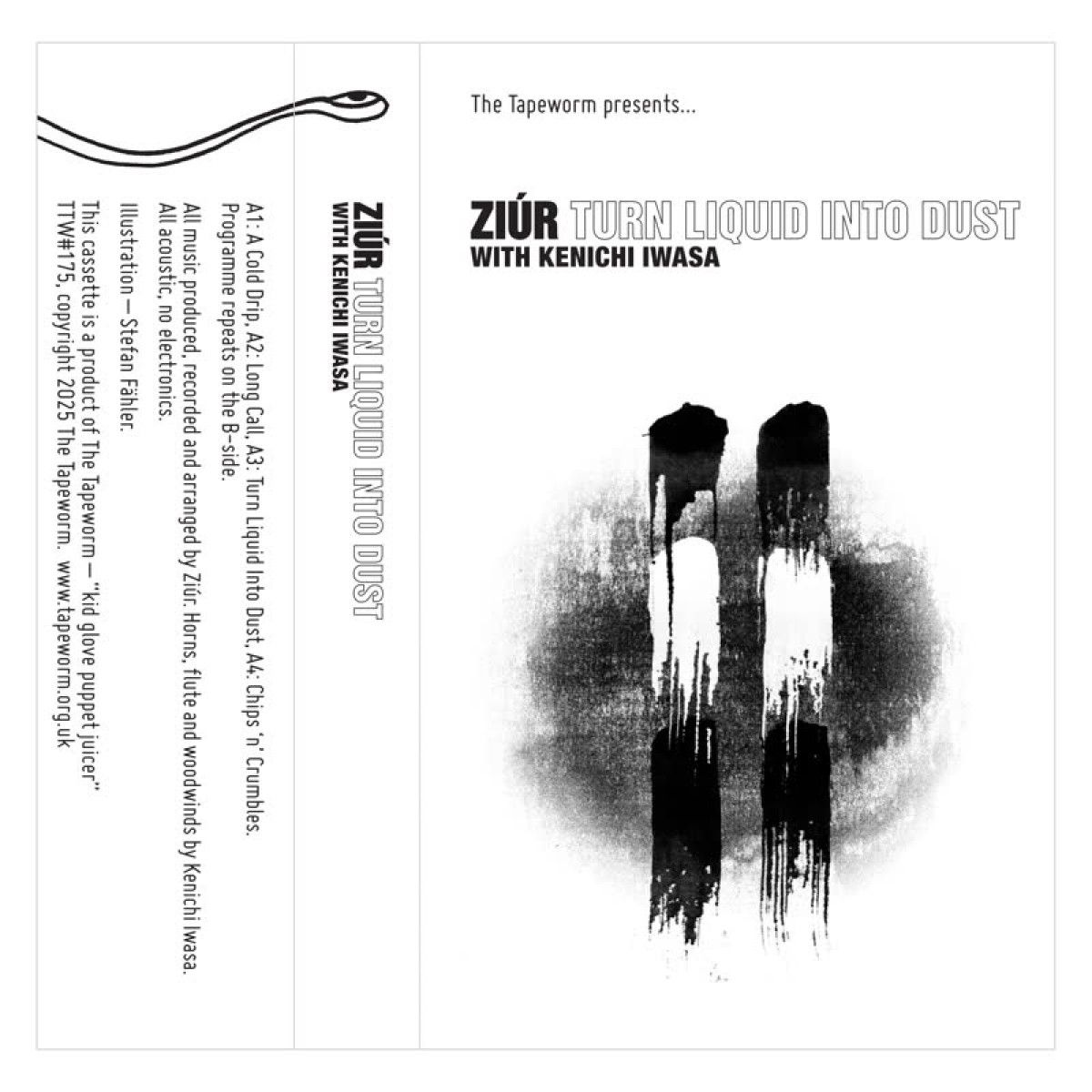 Turn Liquid Into Dust  &  Kenichi Iwasa - Ziúr (TAPE) | The Tapeworm (TTW175) - main