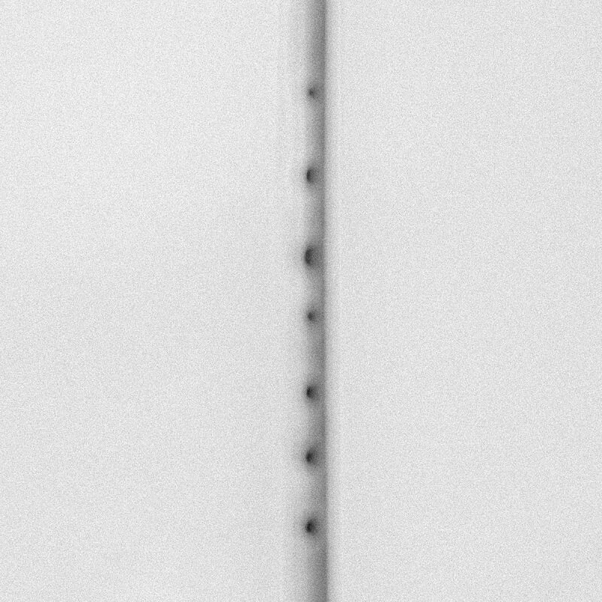 Rai Tateishi - Presence | NAKID (NKD10)