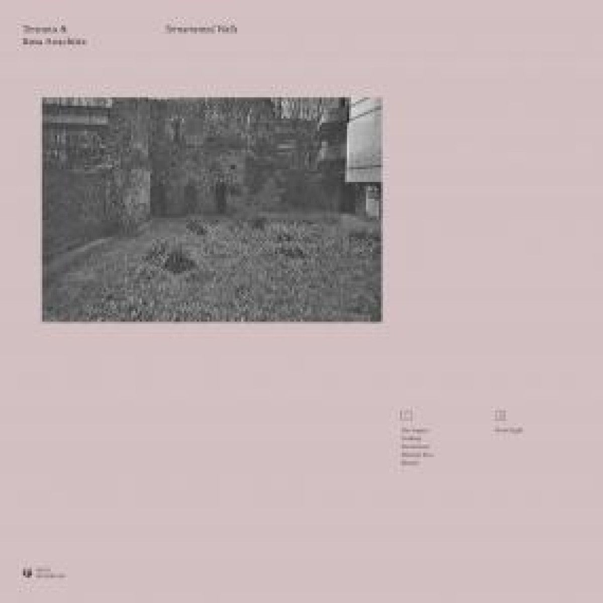 Tennota & Rosa Anschütz - TORNAMENTED WALLS | Meakusma (MEA054) Tennota & Rosa Anschütz - TORNAMENTED WALLS | Meakusma (MEA054)