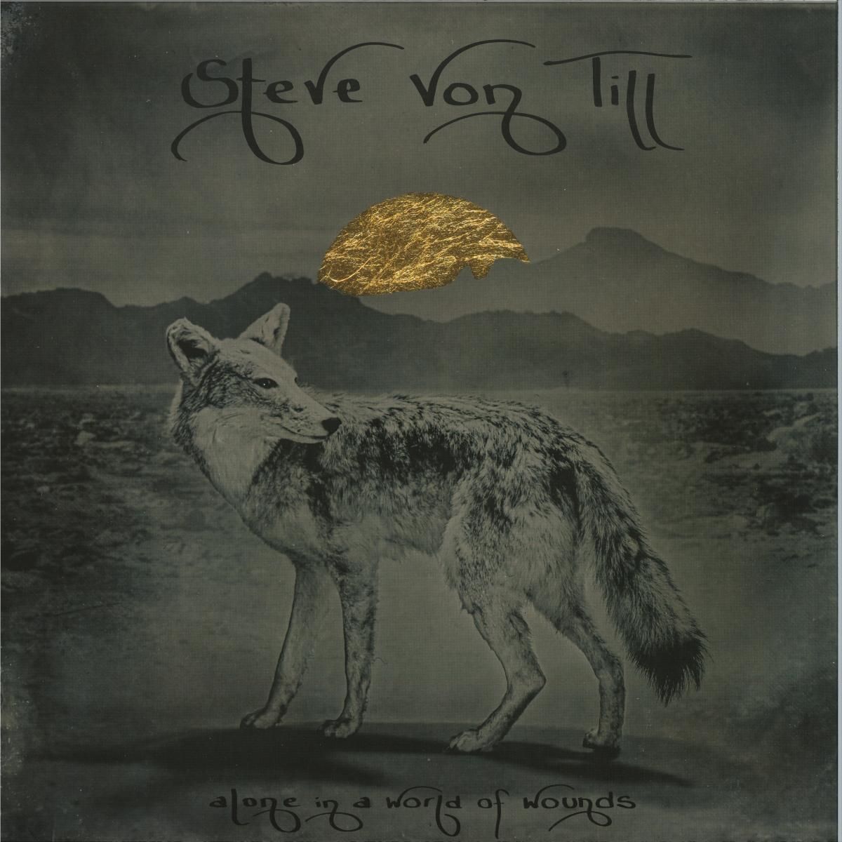 Steve Von Till - Alone In A World Of Wound LP | Neurot Recordings (NR134LP) Steve Von Till - Alone In A World Of Wound LP | Neurot Recordings (NR134LP)