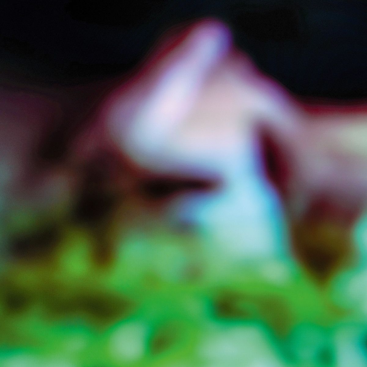 Hair  &  Treasure - Disc Rot | Discrepant (CREP115)