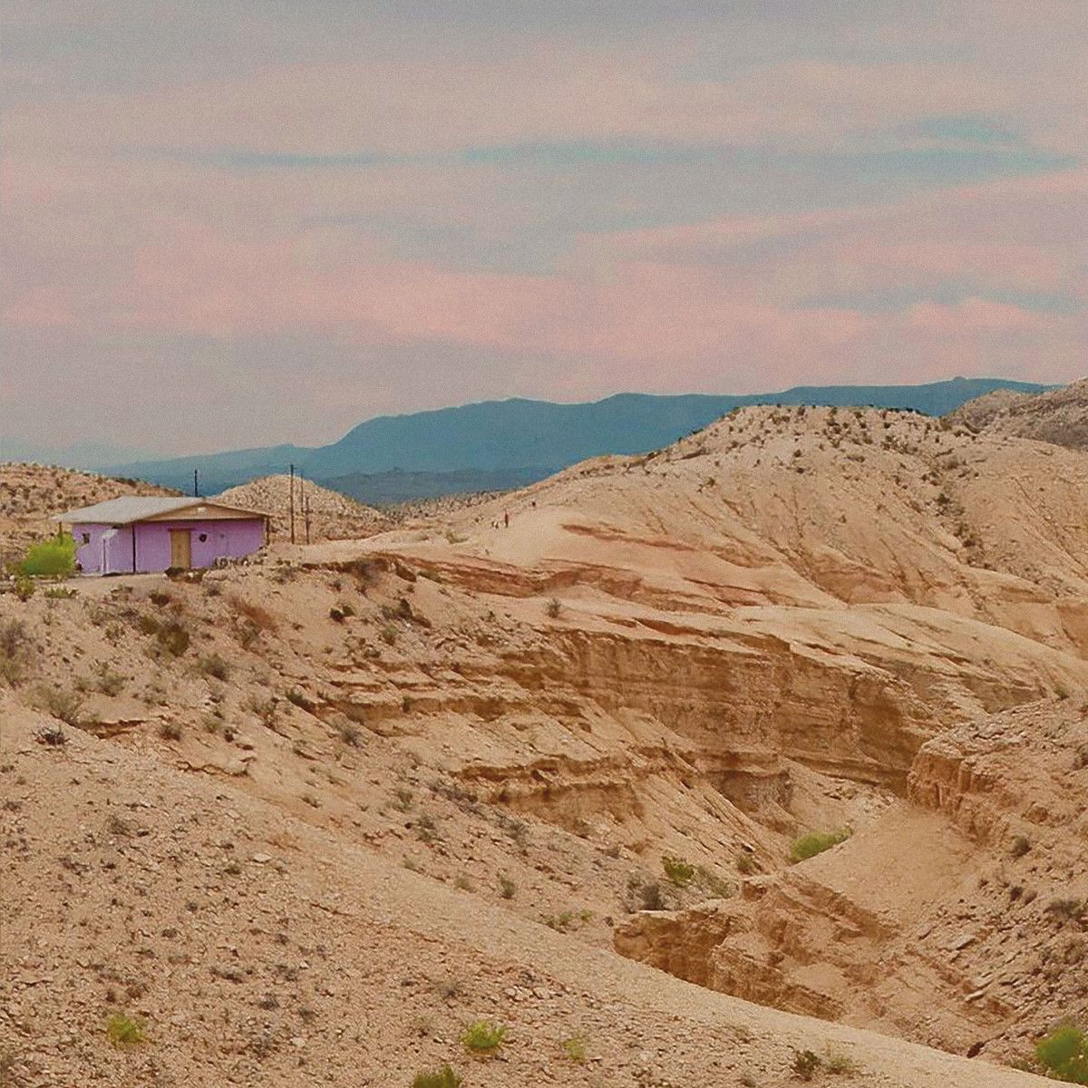 Lavender - lowlight:slowlight | LATE NIGHT TALES (ALN754)