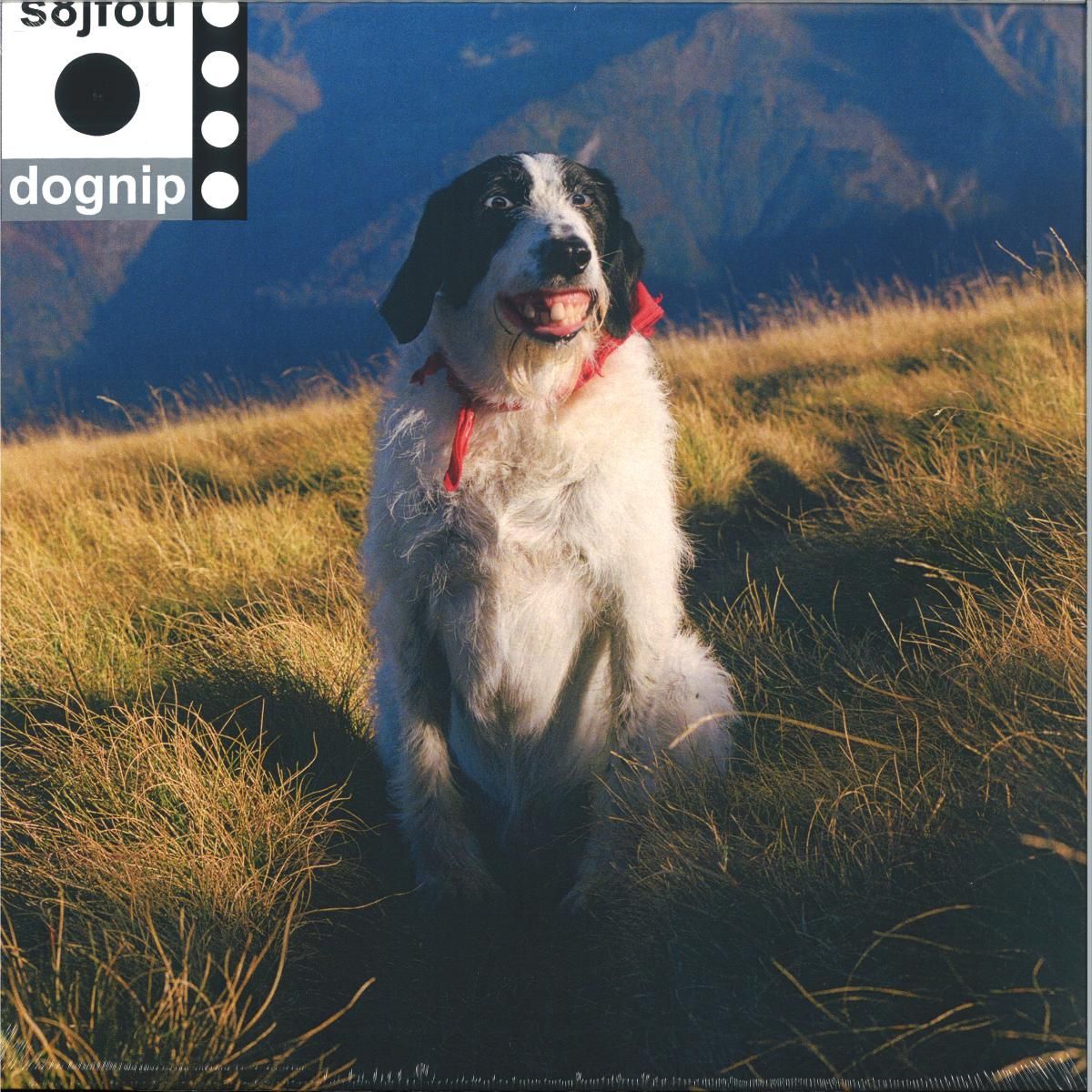 S8JFOU - Dognip LP | Parapente (PARA024LP) - main S8JFOU - Dognip LP | Parapente (PARA024LP) - main