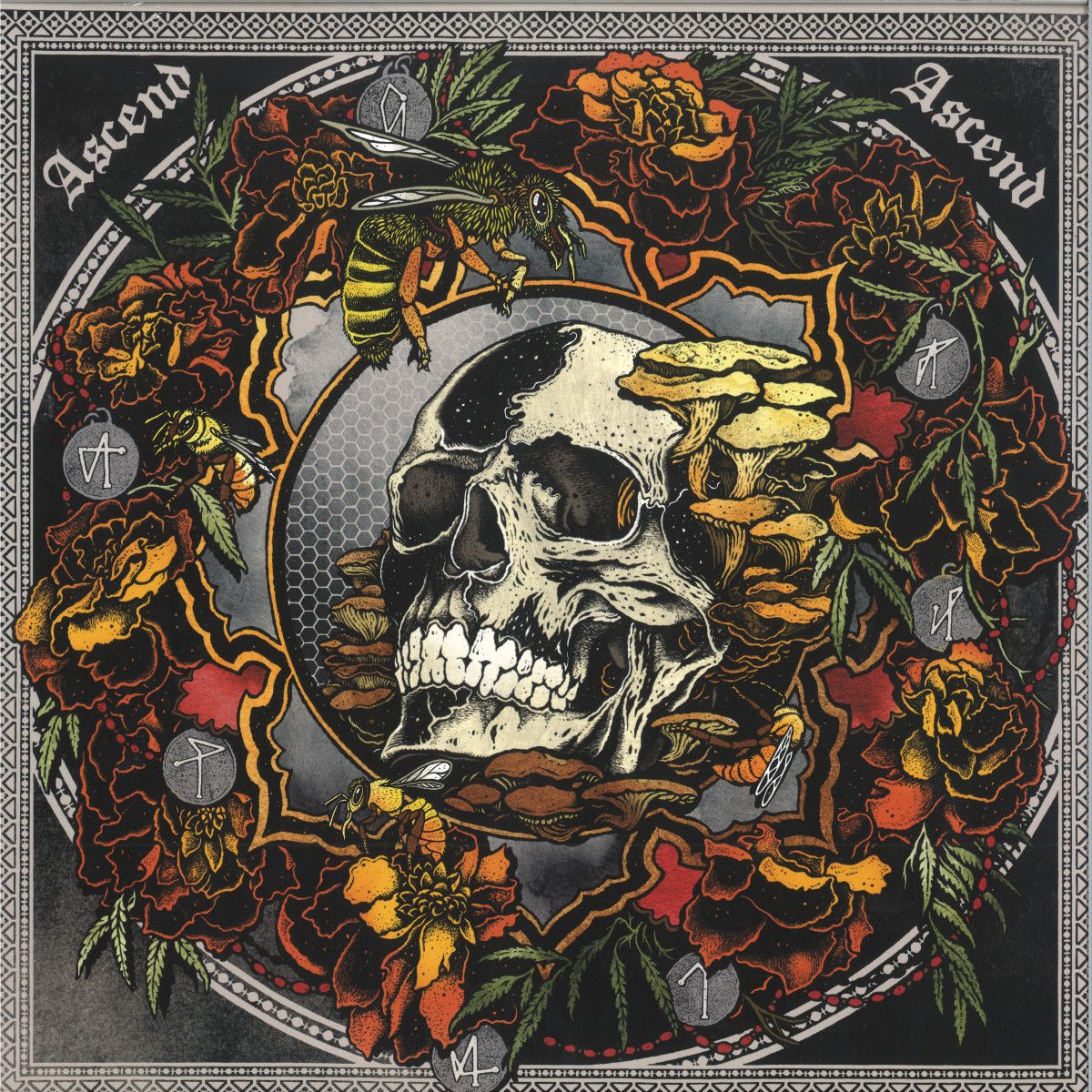 Janaka Stucky - Ascend Ascend : Live In Seattle with Lori Goldston LP 2x12" | Neurot Recordings (NR126) Janaka Stucky - Ascend Ascend : Live In Seattle with Lori Goldston LP 2x12" | Neurot Recordings (NR126)