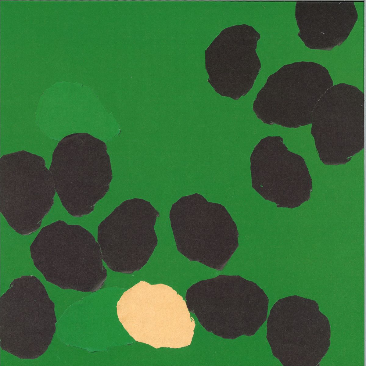 Will Samson - Songs Of Beginning And Belonging | Dauw (DAUW72LP)