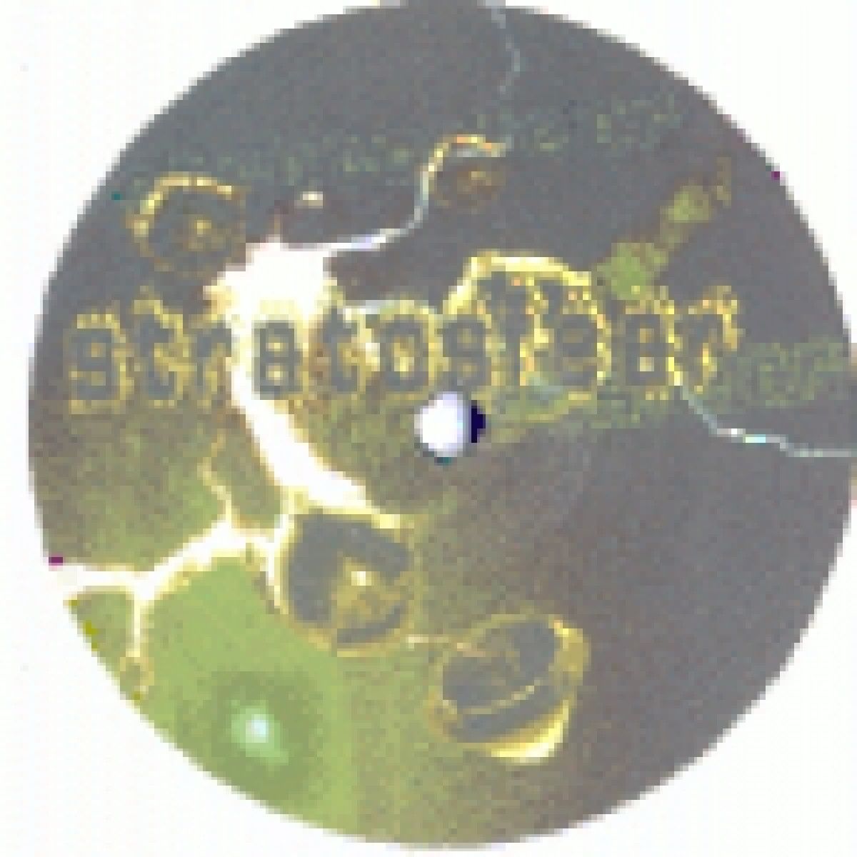 Bryan Fury - Stratosfear | White Donkey (WD03)