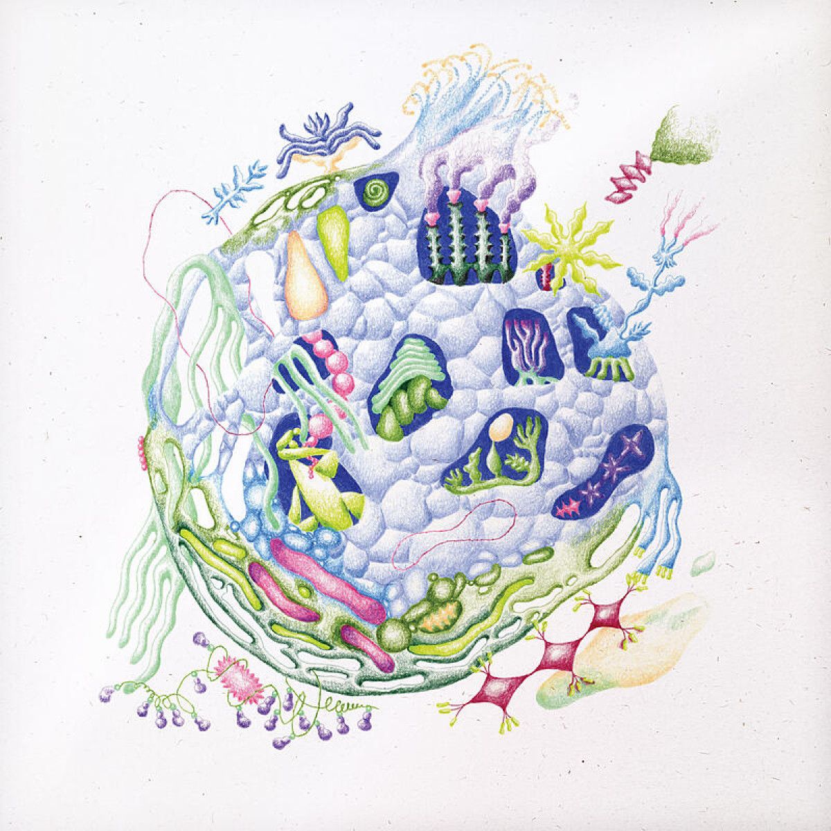 David Edren - Binnenin | BLACK SWEAT RECORDS (BS086) - main