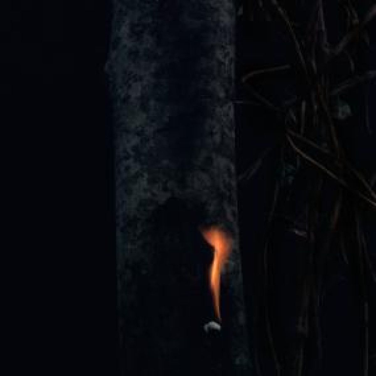 Bzdp - JUMP SHIP, SIT LEAN, BE STILL, STAND TALL | AD 93 (WHYT081)