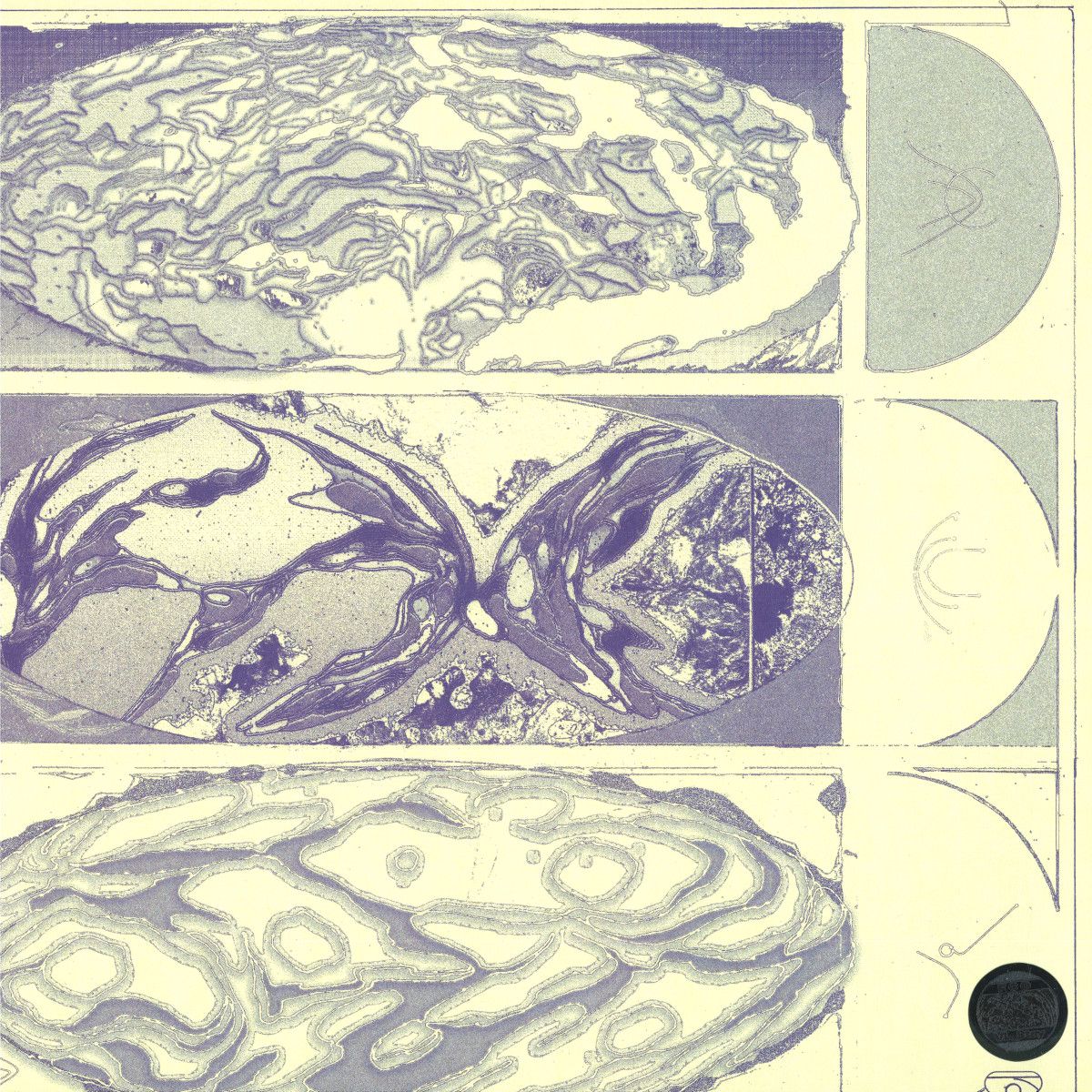 Fan Club Orchestra - VL_Stay LP | 12th Isle (ISLE-018) Fan Club Orchestra - VL_Stay LP | 12th Isle (ISLE-018)
