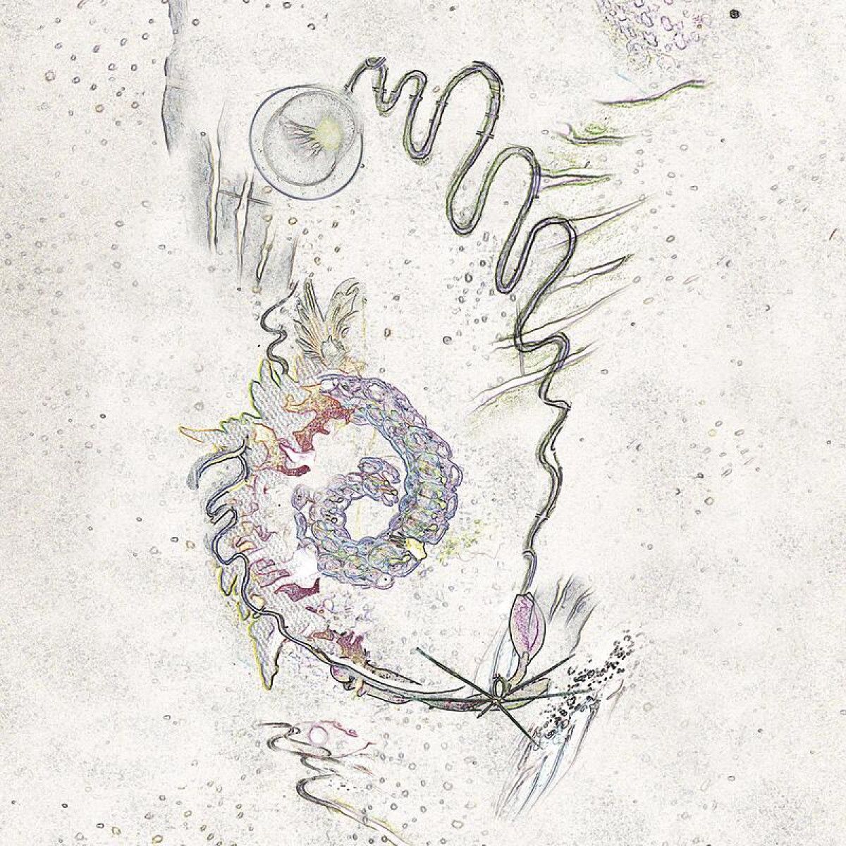 Lamina - Sueños acuáticos (TAPE) | Mappa Editions (MAP054CS) - main