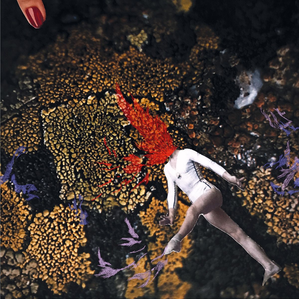 Clothilde - Cross Sections | Holuzam (ZAM039) - main Clothilde - Cross Sections | Holuzam (ZAM039) - main