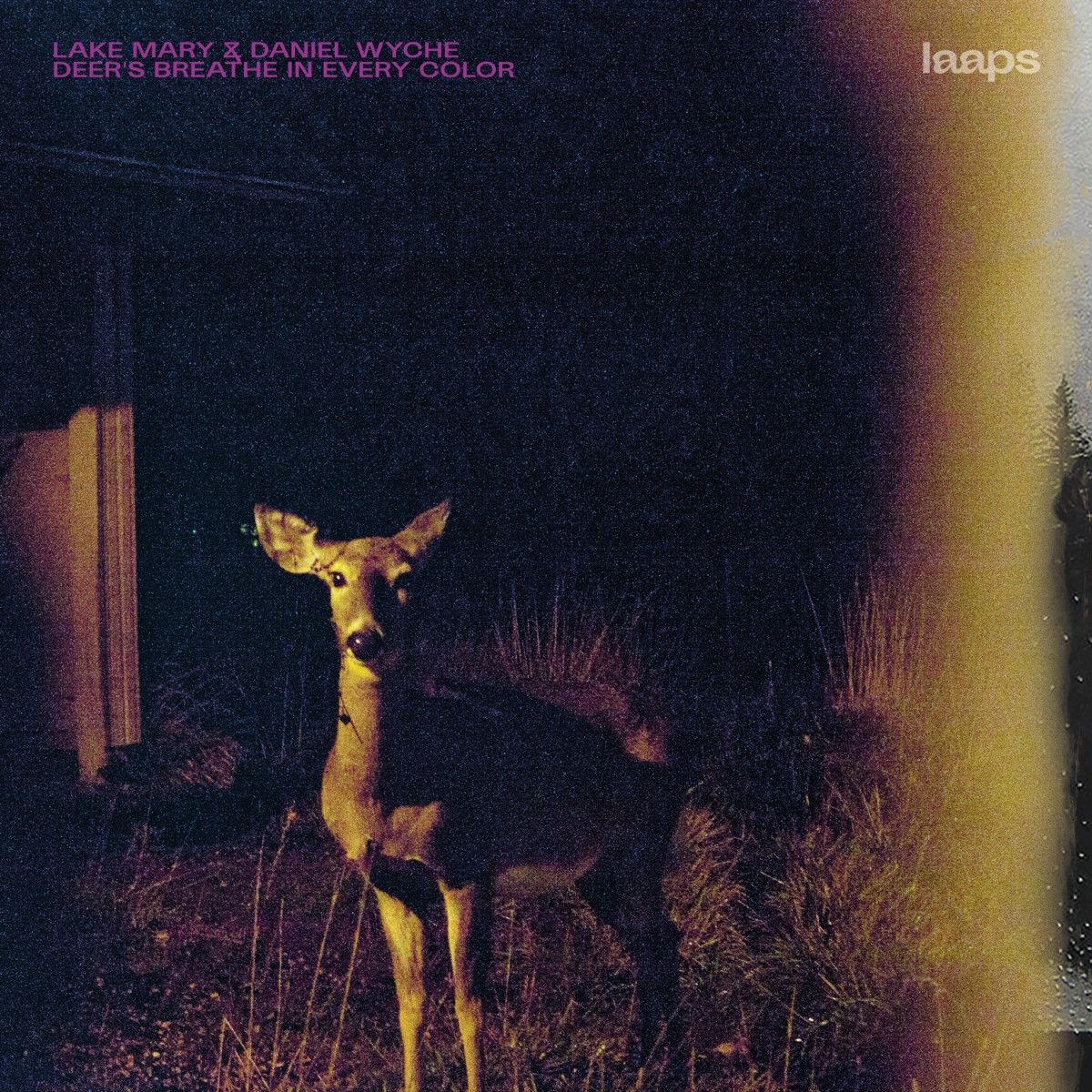 Lake Mary  &  Daniel Wyche - Deer's Breathe In Every Color | LAAPS (LAAPS039LP)