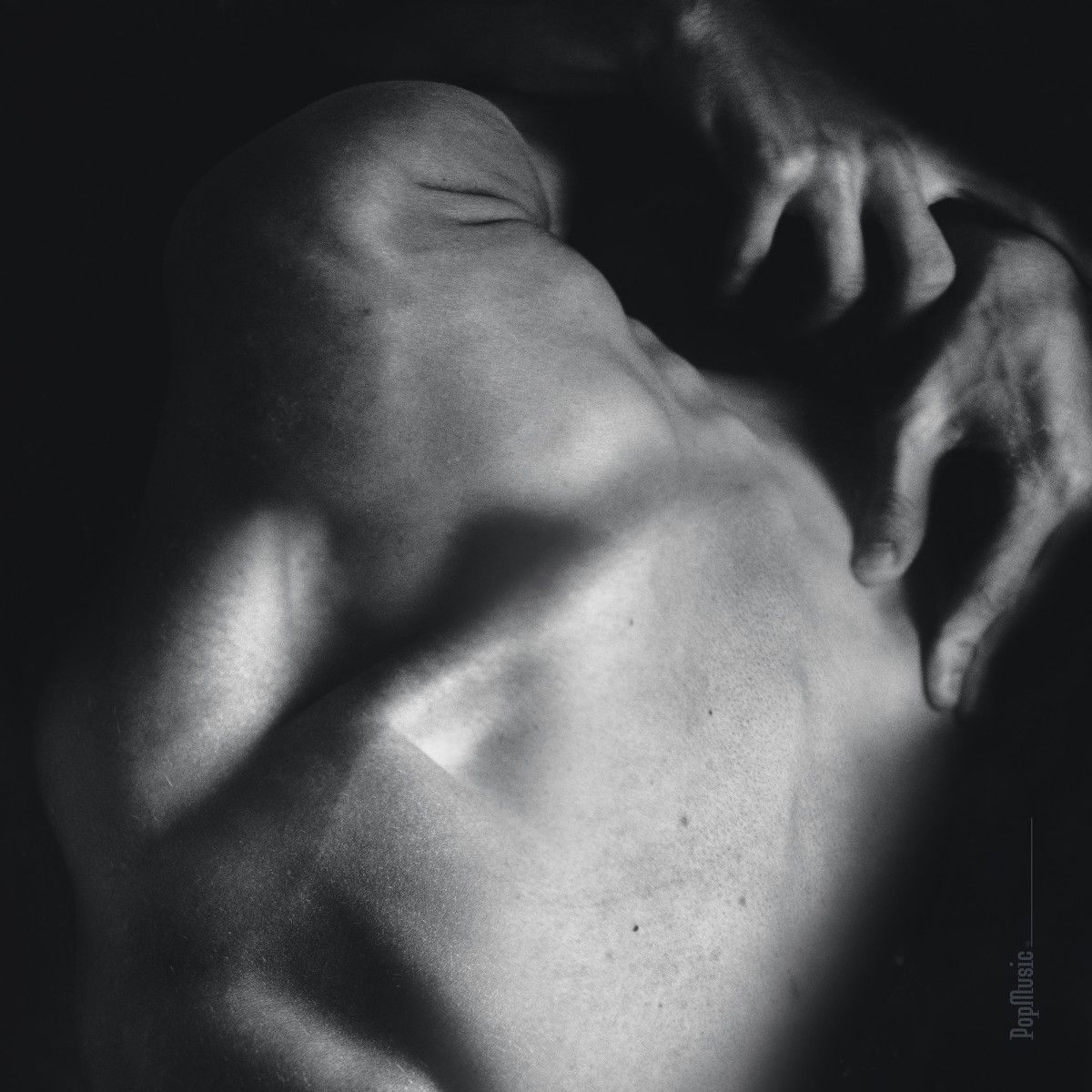 B. Rupp - Pop Music LP | Accidental Meetings (AM020)