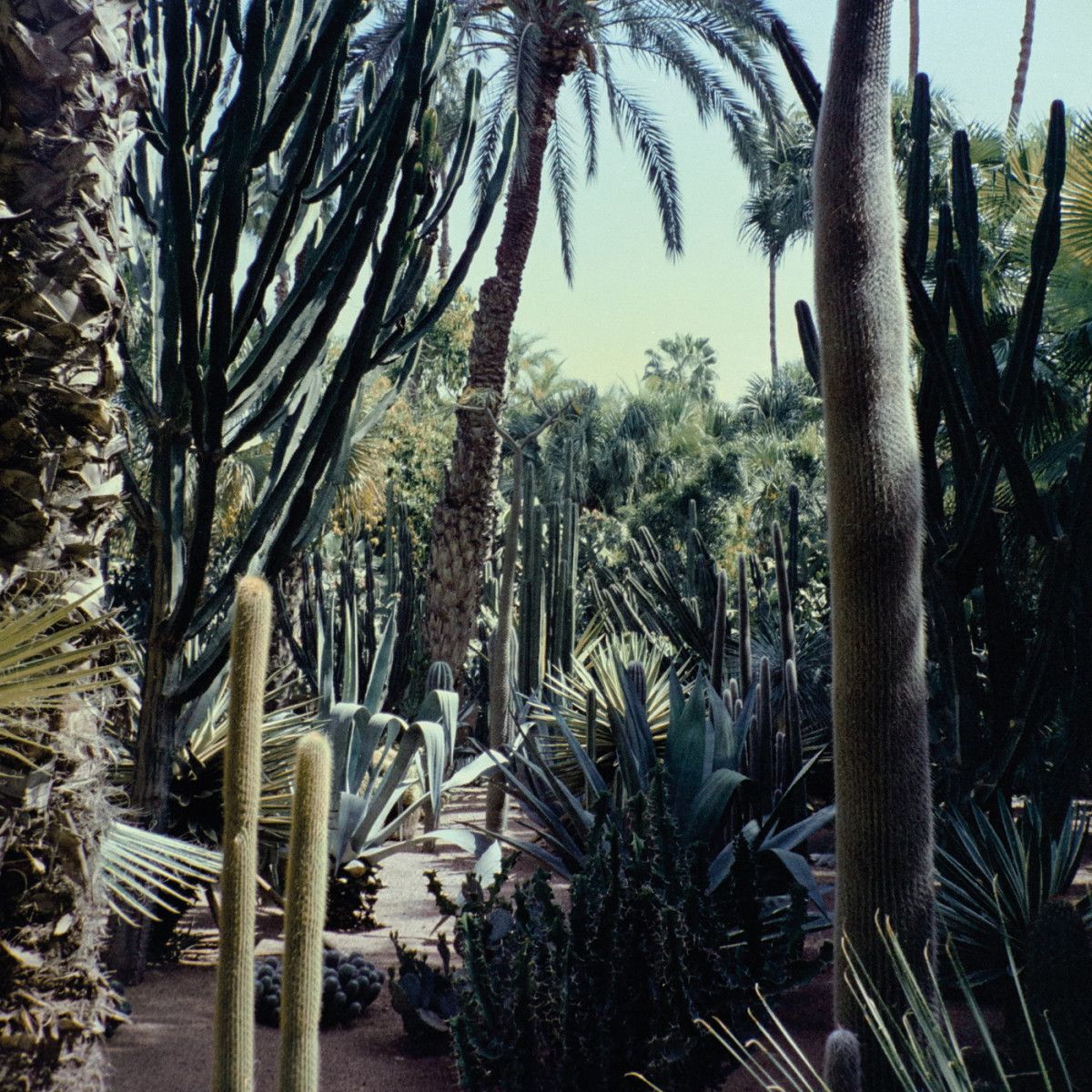 Three Body - Three Body | RUNNING CIRCLE (RNCL04LP) - main Three Body - Three Body | RUNNING CIRCLE (RNCL04LP) - main