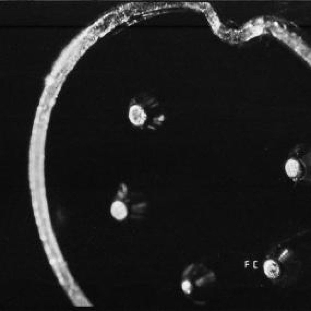 Jørgen Teller - UNTITLED | Blundar (BLUNDAR17) Jørgen Teller - UNTITLED | Blundar (BLUNDAR17)