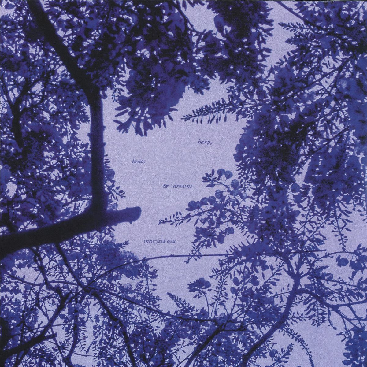 Marysia Osu - Harp, beats & dreams LP | Brownswood Recordings (BWOOD370LP)