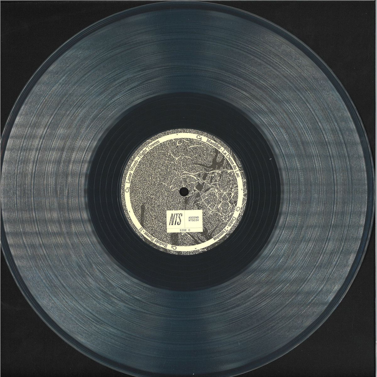 Various - Ascend 2x12" | NTS (NTSC3V)