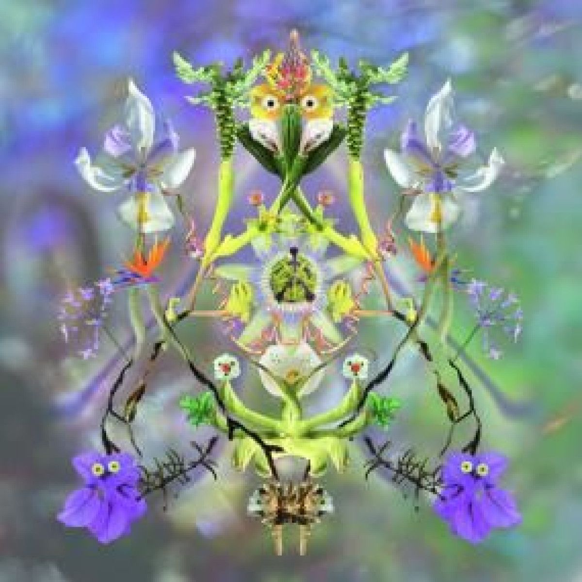 Maibaum - SUMER IS ICUMEN IN LP | KRAAK (K127)